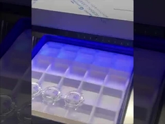 नीलम घड़ी का मामला